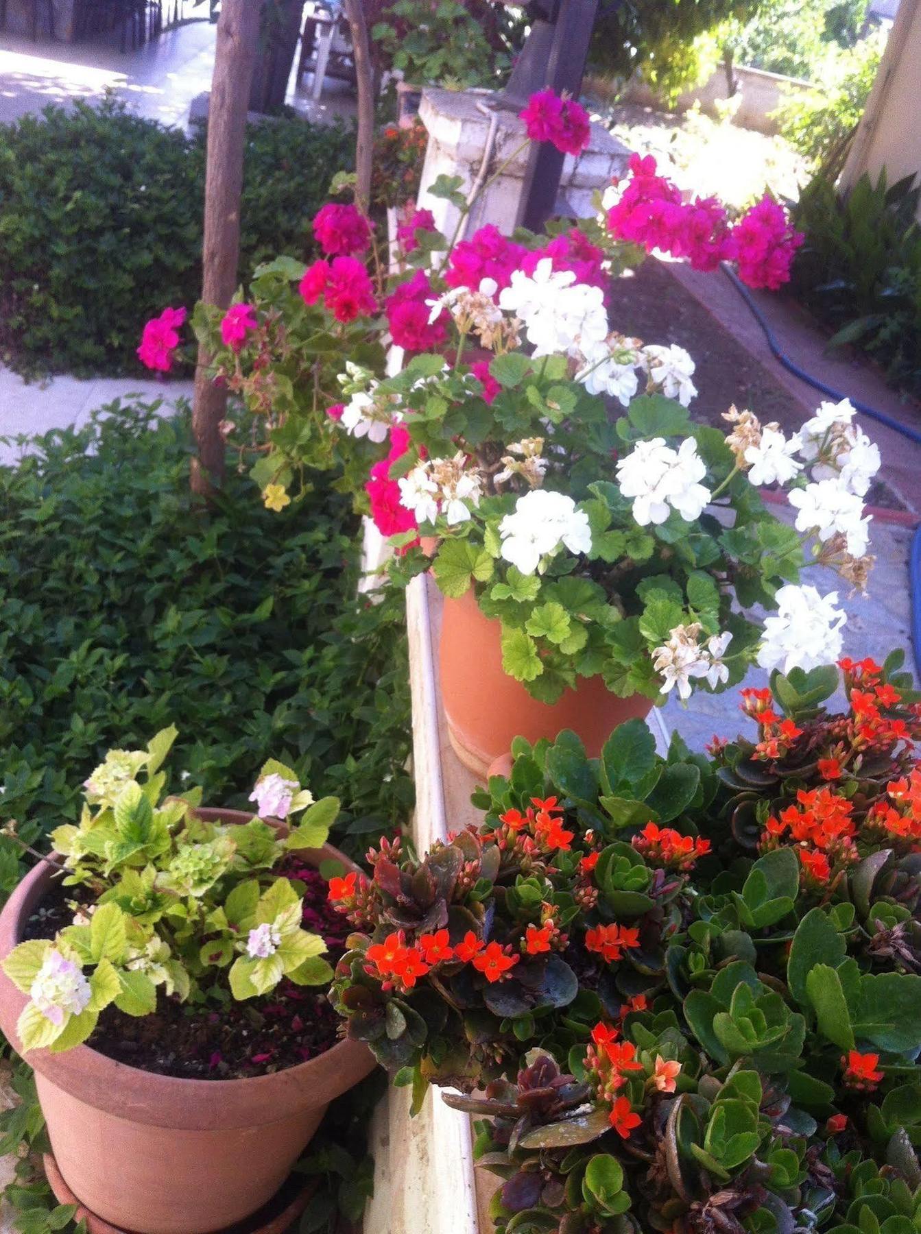 Besik Hotel Fethiye Exterior photo